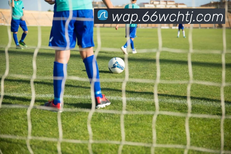 开云app登录入口APP 体育赛事宣传图